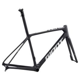 Giant new arrivals ruta 2020